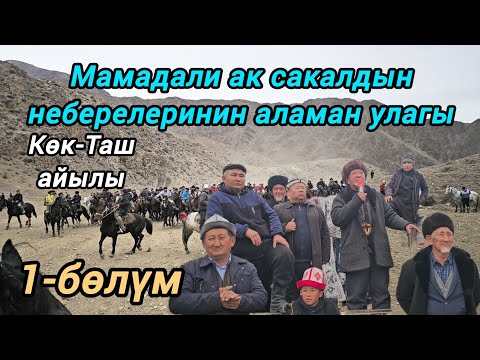 Видео: Мамадали ак сакалдын неберелеринин тою 1-бөлүм, Көк-Таш Чон-сай айылы 13.12.2024.
