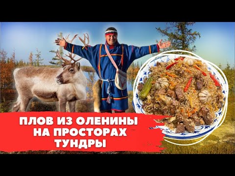 Видео: ПЛОВ ИЗ ОЛЕНИНЫ