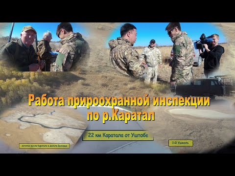 Видео: Работа природоохранной инспекции на Каратале 17.10.20.