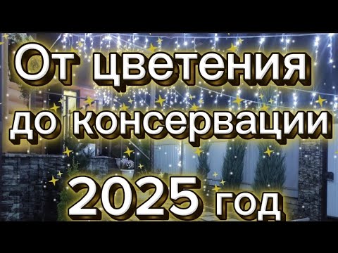 Видео: Урожай 2025 года. От цветения до консервации. 