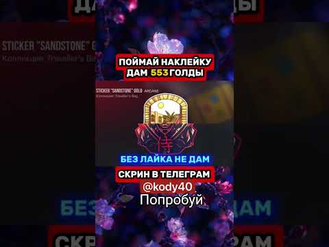 Видео: 26 октября 2025 г.