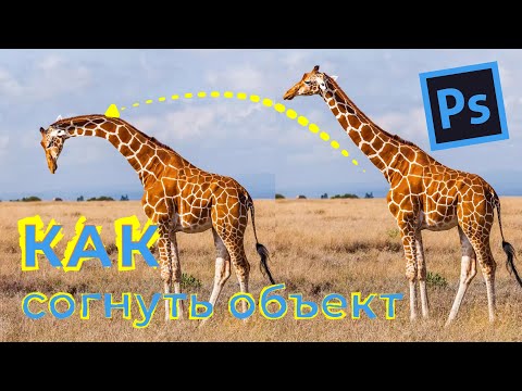 Видео: Как согнуть объект в фотошопе Марионеточная деформация