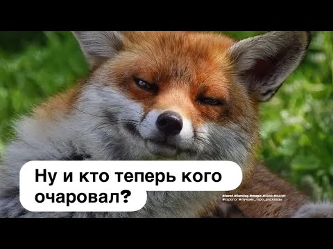 Видео: ТАРО В НЬЮ-ЙОРКЕ | Его мысли о тебе перед сном 🌃🌕✨