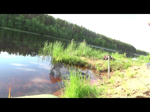 Видео: Рыбалка на Закидушки. Ловля леща на донки.Карелия.