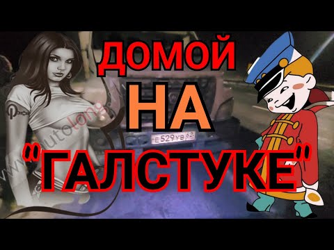 Видео: ВСЕ...С ЖЁНАМИ, А МЫ С ГАЗОНАМИ!☝️😁#газоннекст #automobile #дальнобой