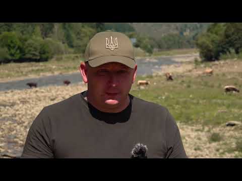 Видео: ❗️Особливості зариблення річок Закарпаття