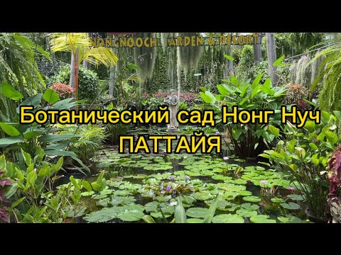 Видео: Сад НОНГ НУЧ. Паттайя