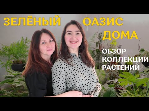 Видео: В ГОСТЯХ у Виктории | ОБЗОР коллекции РАСТЕНИЙ | зелёный ОАЗИС в доме