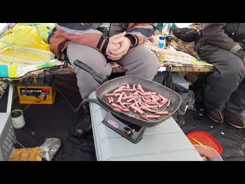 Видео: Инголь, Рипус [Ряпушка] 8-Марта 2020г