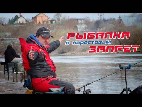 Видео: Ловля леща в нерестовый запрет на фидер