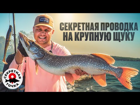 Видео: Казань удивляет! ЭТА ПРОВОДКА ПРИНЕСЛА ЩУКУ НА 6+ КГ | Рыбачим без паноптикса | Секретная Точка