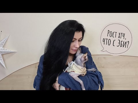 Видео: Хгч растёт, боли в боку... Мы могли ее потерять:(