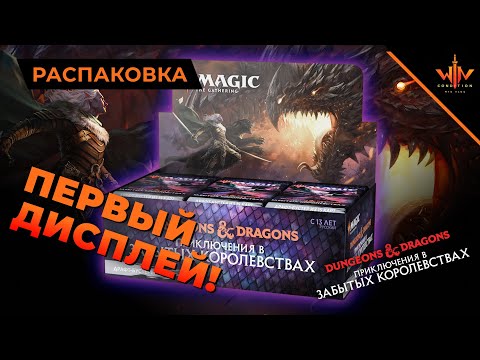 Видео: МТГ дисплей Приключения в забытых королевствах распаковка D&D ADVENTURES IN THE FORGOTTEN REALMS