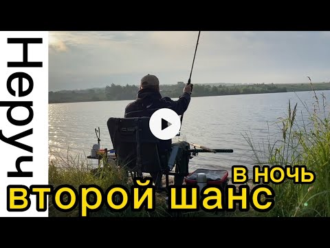 Видео: Ночная рыбалка на Неручи. #рыбалка #природа #fishing #fider #лещ #фидер #рыбалкаворле