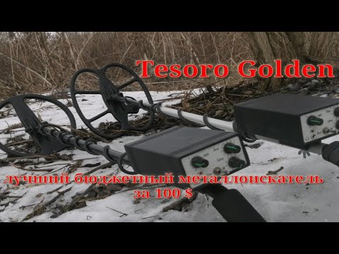 Видео: Тесоро сабля Лучший бюджетный металлоискателель за 100$ Tesoro Golden