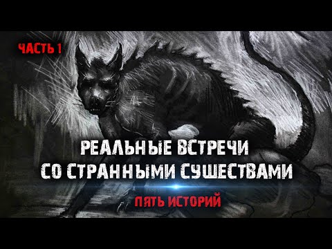 Видео: Реальные встречи со странными существами (5в1) Выпуск №1.
