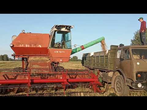 Видео: Уборочная 2021. Почему озимая дала 15 ц/га? №33