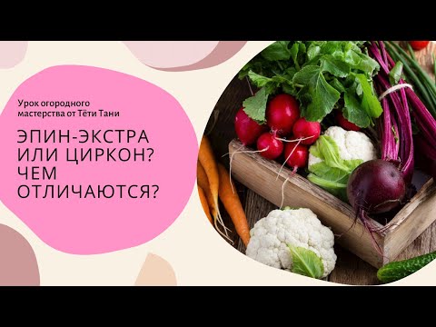 Видео: Эпин-Экстра или Циркон...чем отличаются...что лучше?