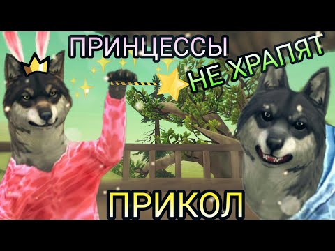 Видео: WildCraft Прикол |Принцессы не храпят| 👑💞😂