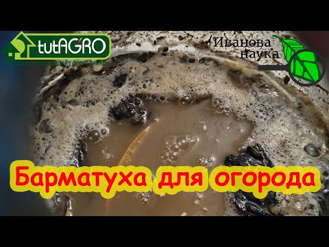 Видео: БАРМАТУХА (БОРМОТУХА) ДЛЯ ОГОРОДА. Главное, чтобы не АКЧ!