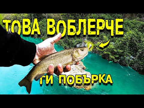 Видео: ВОБЛЕР 1 ГРАМ ПОБЪРКА КЕФАЛИТЕ !