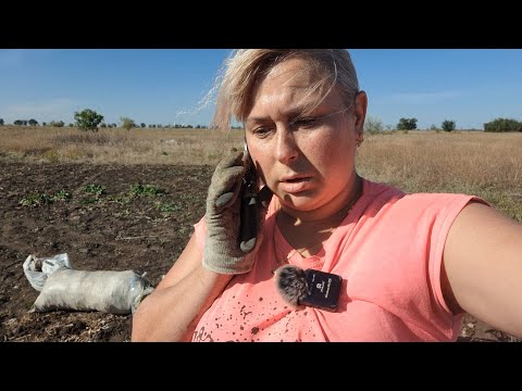 Видео: Взяла кредит - 600 тысяч на асфальт! 