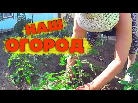 Видео: Огород. Жизнь за кадром. Обычные будни. Жизнь в деревне. Семья Соколовых