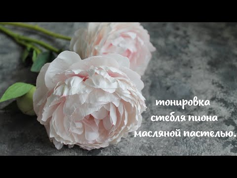Видео: Тонировка стебля пиона.