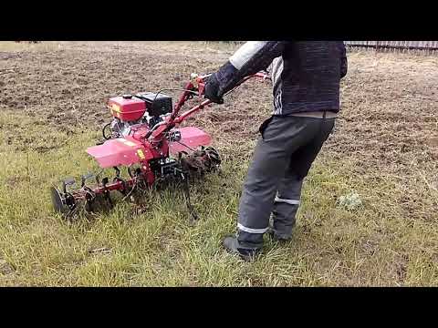 Видео: Мотоблок Фермер. Плуг не взял целину. Пробуем фрезами перекультивировать.