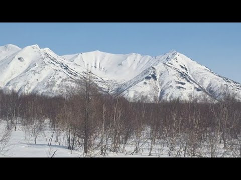 Видео: 1.05.25. Дорога Петропавловск-Камчатский-Мильково. Холодная горная красота.