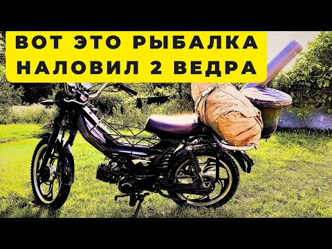 Видео: Первый выезд на  рыбалку на мопеде и такая удача наловил два ведра.