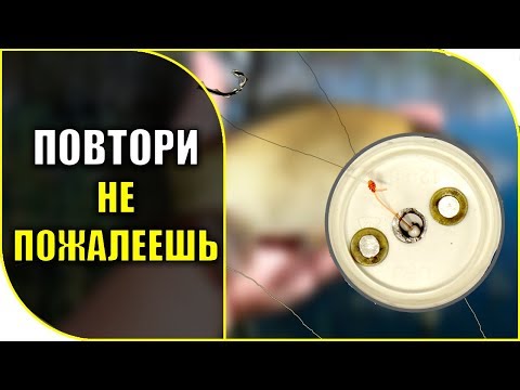 Видео: С этой снастью 👍 трудно остаться без рыбы !