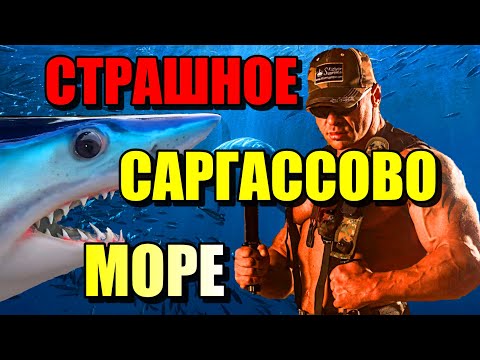 Видео: СТРАШНОЕ САРГАССОВО МОРЕ!!! МОРЕ БЕЗ БЕРЕГОВ!! #море #океан