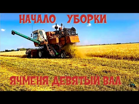 Видео: 🌾🌾🌾 Начало уборки ячменя 🌾🌾🌾 Девятый Вал . Неожиданный результат .