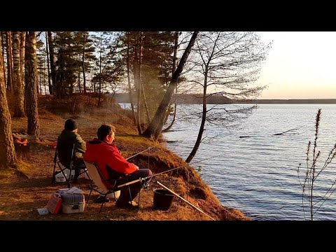 Видео: Удачное Открытие Сезона! Рыбалка с Ночевкой на Чигиринском Водохранилище. Лещ на Фидер Весной.