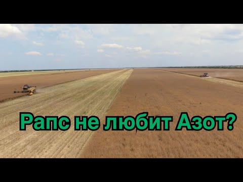 Видео: Рапс не любит Азот?