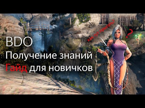 Видео: BDO ГАЙД ДЛЯ НОВИЧКОВ 2021 | Получение знаний в Black Desert Online