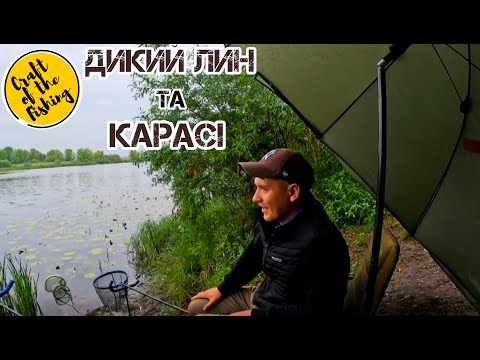 Видео: Дощ, дикий ЛИН і КАРАСІ !Флет-фідер vs класика