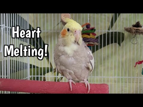 Видео: Она НЕНАВИДЕЛА руки… Но сегодня все изменилось 🥺💛