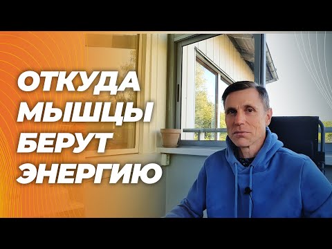 Видео: Это надо знать для эффективной тренировки.