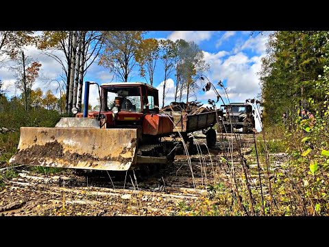 Видео: ВЫВОЗИМ ТОННЫ МЕТАЛЛОЛОМА НА БУЛЬДОЗЕРЕ! ТЕЛЕГА «ТРЕЩИТ ПО ШВАМ! ВЫЗЫВАЕМ ЛОМОВОЗ!