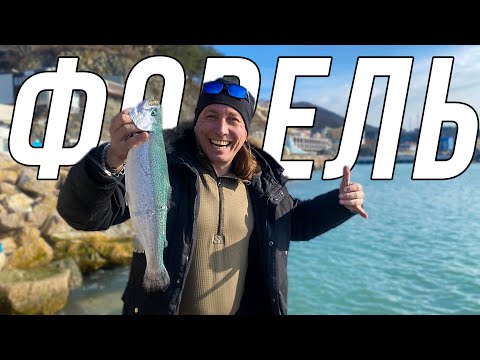 Видео: ВЛОГ: ЗИМНЯЯ РЫБАЛКА НА ЧЁРНОМ МОРЕ. ЛОВИМ ФОРЕЛЬ. 2022 год. КУБАНЬ. MZLESHIY
