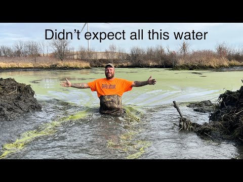 Видео: 40 фунтов таннерита против плотины бобра (огромный кратер)