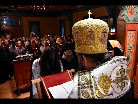 Видео: Монашење у манастиру Светог архиђакона Стефана и беседа Епископа Ксенофонта