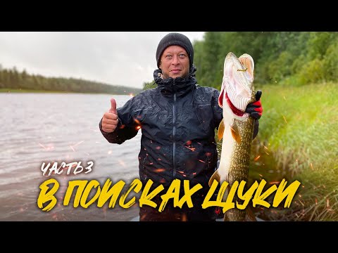 Видео: ПОГОДА ПОРТИТСЯ | КЛЮЮТ  ДОСТОЙНЫЕ ЭКЗЕМПЛЯРЫ | ВАРИМ ЩУЧЬИ ГОЛОВЫ | ЧАСТЬ 3