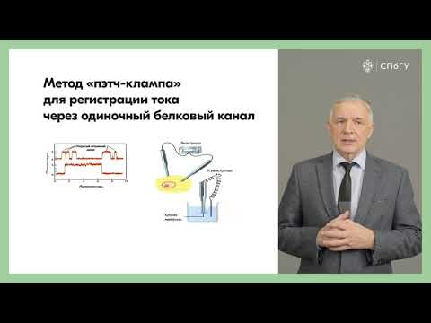Видео: Пассивный транспорт  Простая и облегченная диффузия  Ионные каналы