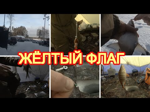 Видео: БЕЛОЯРКА. ЧЕРЕМШАНКА. ОКУНЬ. ИЩЕМ ЛЕЩА НА 12М