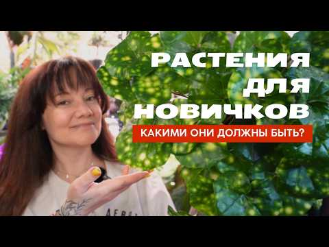 Видео: Растения для новичков: как выбрать, что учесть и существуют ли они