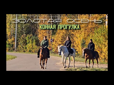 Видео: Конная прогулка по осеннему лесу.