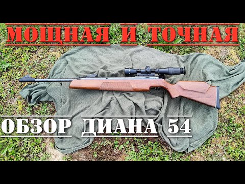 Видео: Диана 54 МОЩНАЯ ПНЕВМАТИЧЕСКАЯ ВИНТОВКА ПОЛНЫЙ ОБЗОР Diana 54